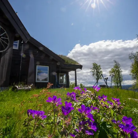 Vakker Med Fantastisk Utsikt Prázdninový dům Geilo